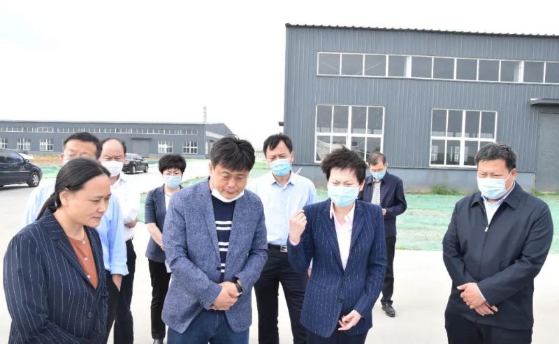 Municipal leaders went to Longgang new materials to investigate the promotion of major projects in the city